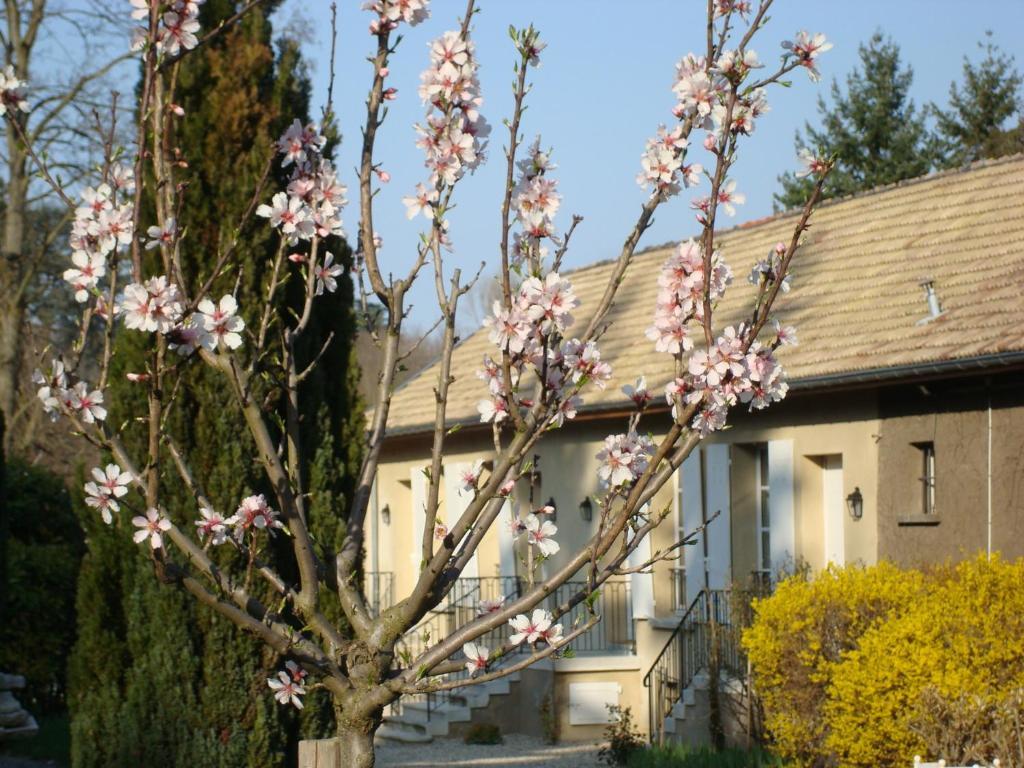 에퀼리 Les Communs Du Manoir 아파트 외부 사진